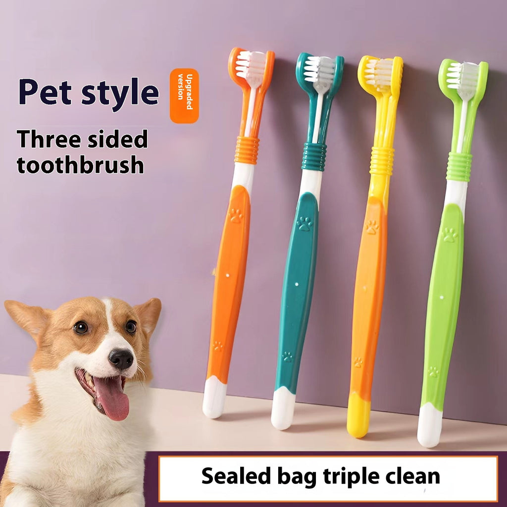 pet toothbrush oral cleaning