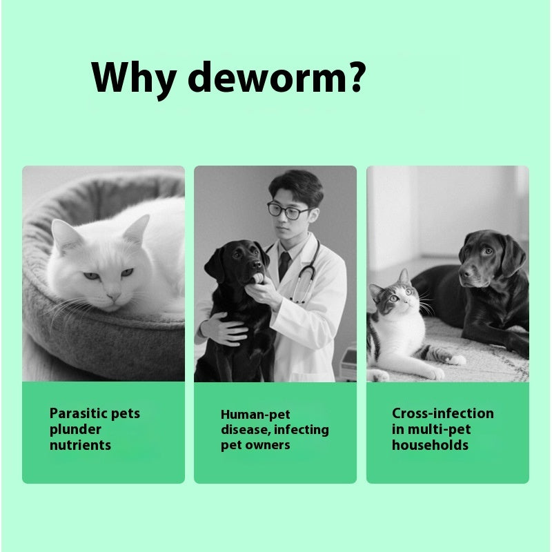 pet itching relief products